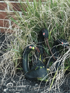 fall crafts Pumpkin Creatures birds