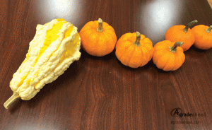 fall crafts Pumpkin Creatures sea serpent dragon pumpkins